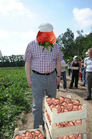 Жириновский и урожай клубники